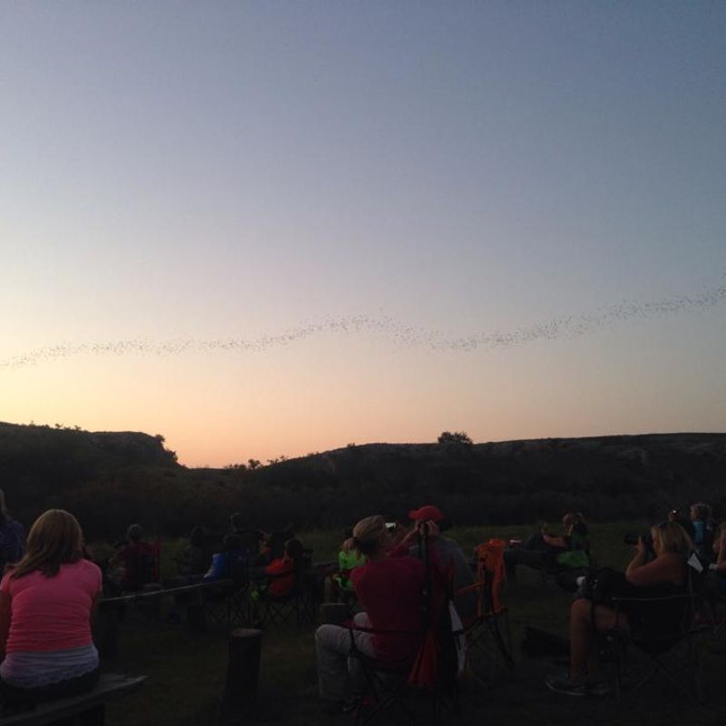 Selman Bat Cave Wildlife Management Area Oklahoma's